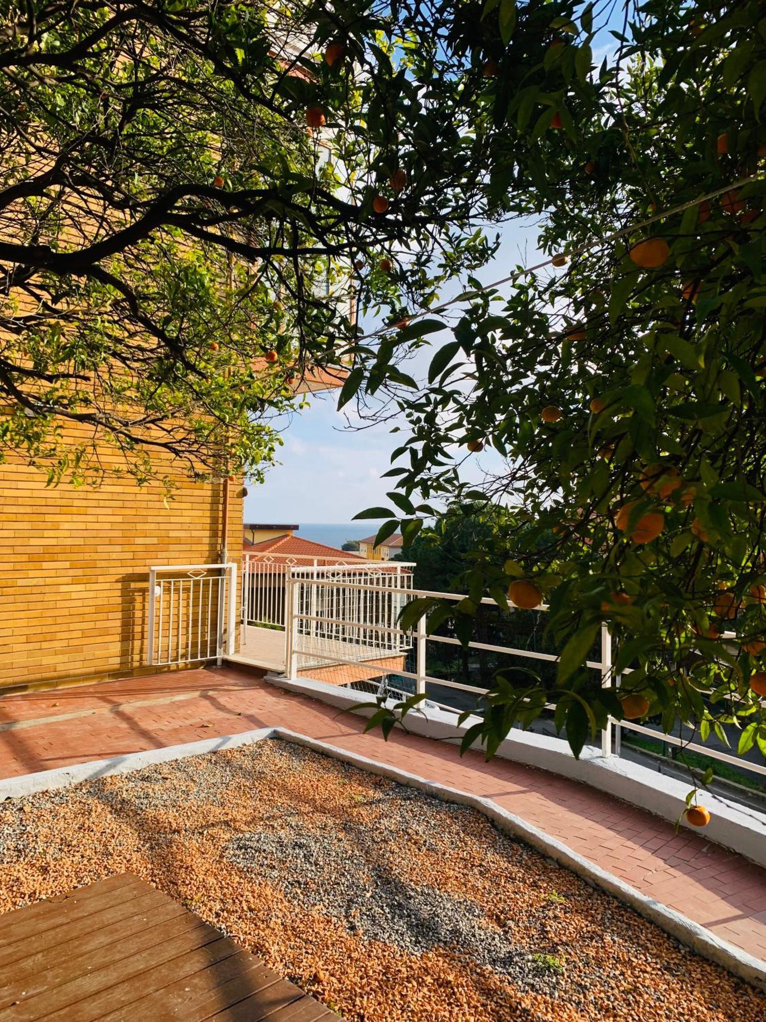 Garden Holiday home *